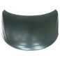 COFANO ANT KIA CERATO 2010  OEM 664001M010
