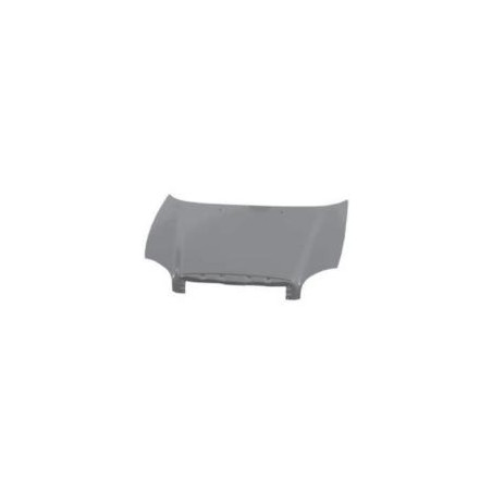 COFANO ANTERIORE HYUNDAI SANTA FE SM 20002005