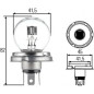 LAMPADINA 6V/45/40W