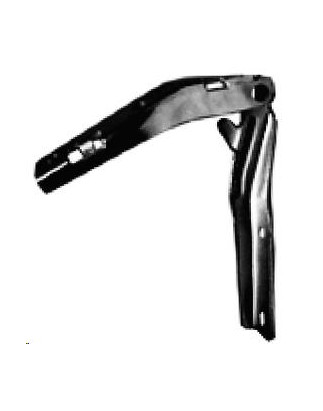 CERNIERA COFANO ANTERIORE SINISTRA PEUGEOT 206 2A2C2D2E2K 19982009