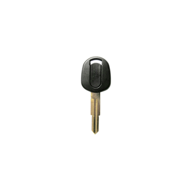 GUSCIO CHIAVE COMPLETO 4D60
