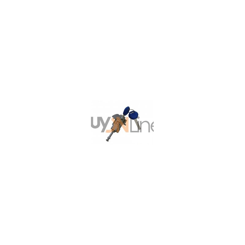 MANIGLIA PORTA EST ANT DX BMW iX2 (U10E) 2023  OEM 51217019976