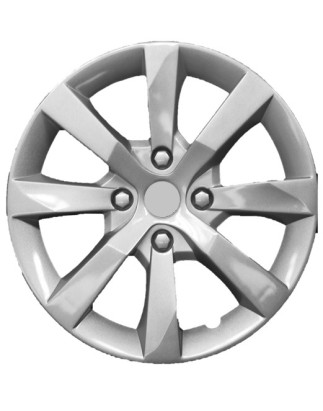 COPRICERCHI 15"