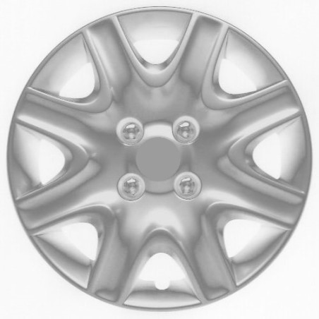 COPRICERCHI 15"