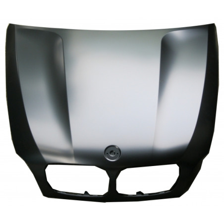COFANO ANT BMW X5 (E70) 2007 2010 OEM 41617486754