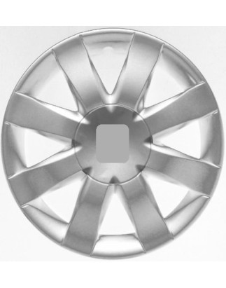 COPRICERCHI 15"
