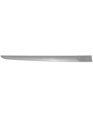 MODANATURA PORTA POST DX RENAULT CLIO III (BR0 1/CR0 1) 2006 2009