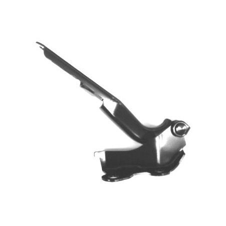 CERNIERA COFANO ANT SX TOYOTA LAND CRUISER PRADO 120 (J12) 2002 2011 OEM 5342035060