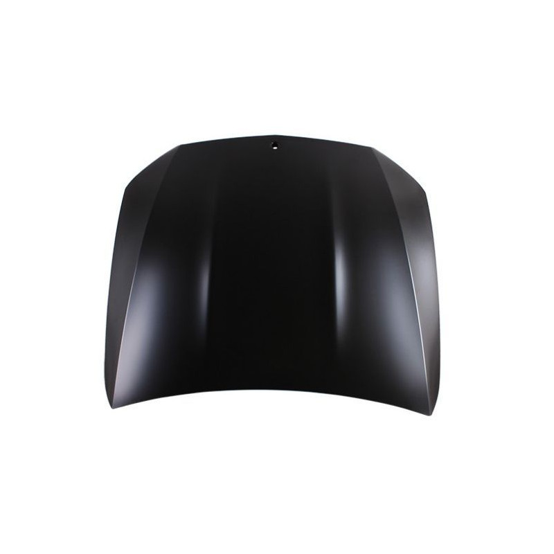 COFANO Ant  OEM A238880010064