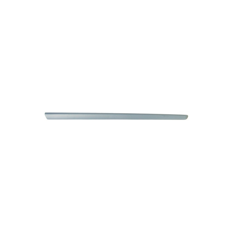 MODANATURA PORTA Ant Dx  OEM 735653067