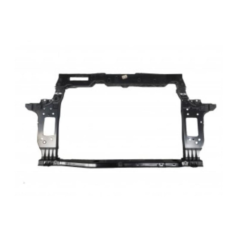 OSSATURA  OEM 64101G6000