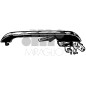 MANIGLIA PORTA Est Ant Dx  OEM 443837206C