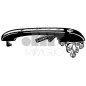 MANIGLIA PORTA Est Ant Dx  OEM 813837206C