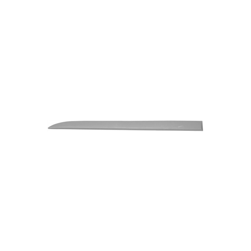 MODANATURA PORTA Ant Sx  OEM 5172446