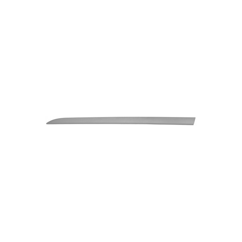 MODANATURA PORTA Ant Sx  OEM 5172435