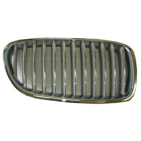 GRIGLIE ANT DX CROMATA/GRIGIA BMW SERIES 5 (F10/F11) 2010 2013 OEM 51137261356