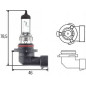 HB4 (9006) 12V 51W STANDARD