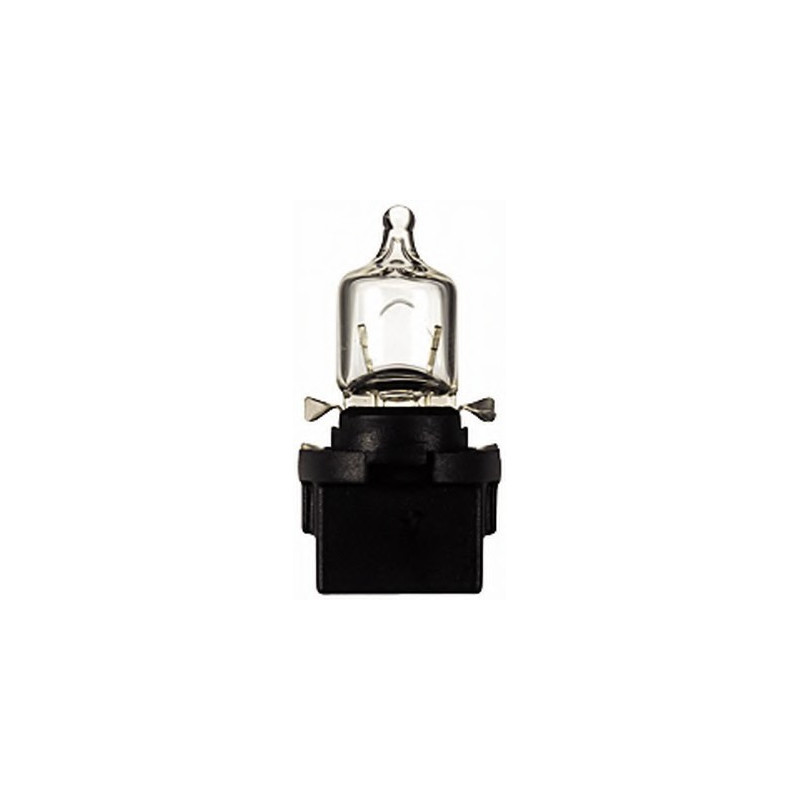 PLASTIC SOCKET LAMPS 12V 5W STANDARD