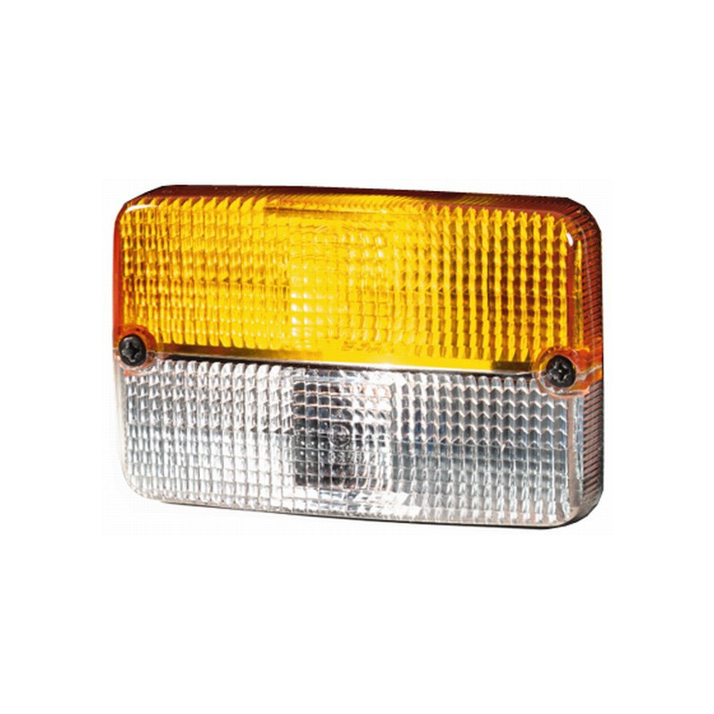 LENTE LUCE POSTERIORE