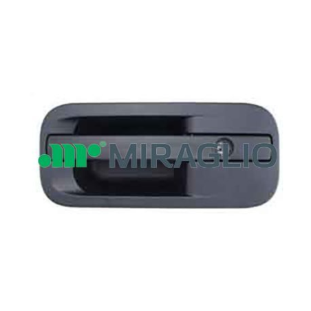 MANIGLIA ESTERNA NERO ANTERIORE DESTRO DAF XF 106 0413