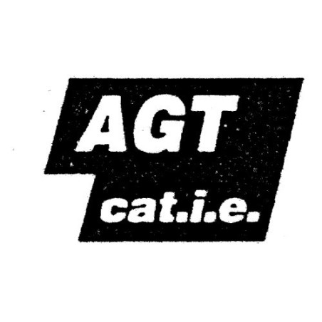 SCRITTA LAT FIAT TIPO AGT CAT