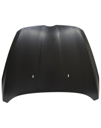 COFANO ANTERIORE FORD B-MAX 0112