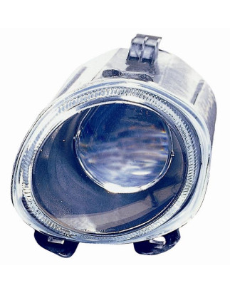 FENDINEBBIA DESTRO BMW X5 E53 0100  0107 VERS 2002