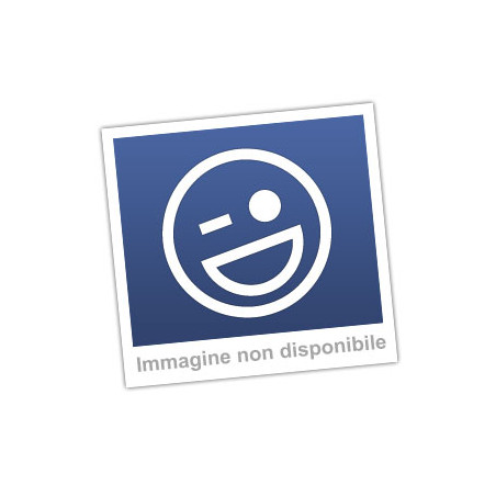 MOTORIDUTTORE ALZACRISTALLI ANTERIORE DESTROSINISTRO 3 PORTE MAN TG-A 0300