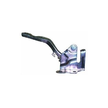 CERNIERA COFANO ANTERIORE SINISTRA T�V HYUNDAI i10 I 0107  0110, HYUNDAI i10 I 0110  0113