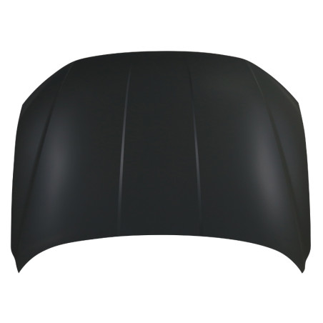 COFANO ANTERIORE HYUNDAI TUCSON 0120