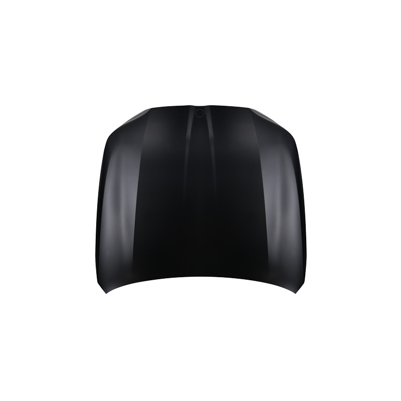 COFANO ANTERIORE BMW SERIES 5 G6061 0124