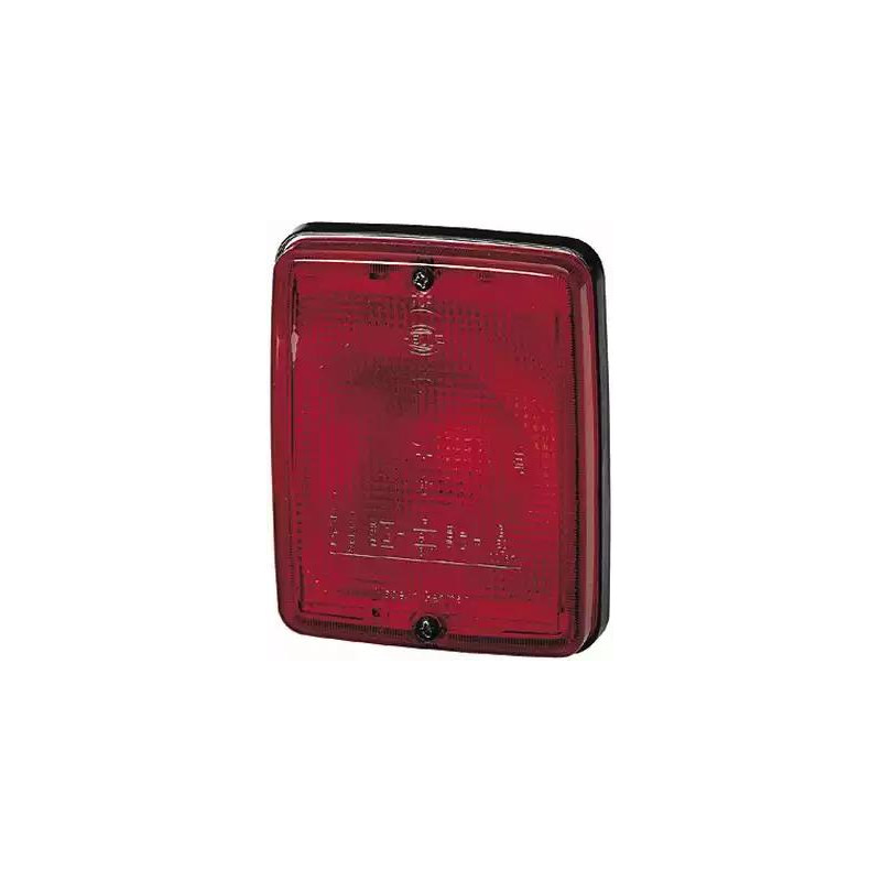 RETRONEBBIA DESTROSINISTRO BUS