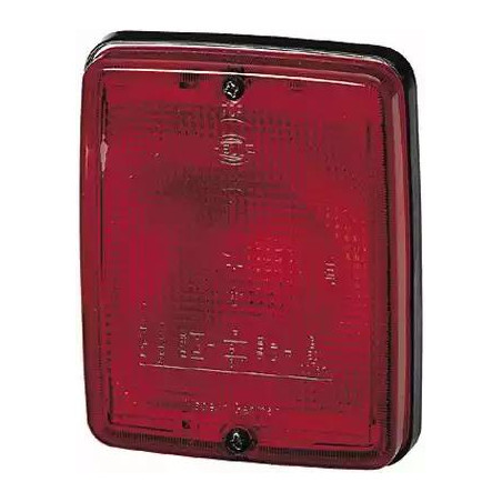 RETRONEBBIA DESTROSINISTRO BUS