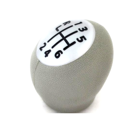 POMELLO  CAMBIO RENAULT MEGANE 0902  1205, RENAULT CLIO 1005  0409 6 MARCE ARGENTO OPACO