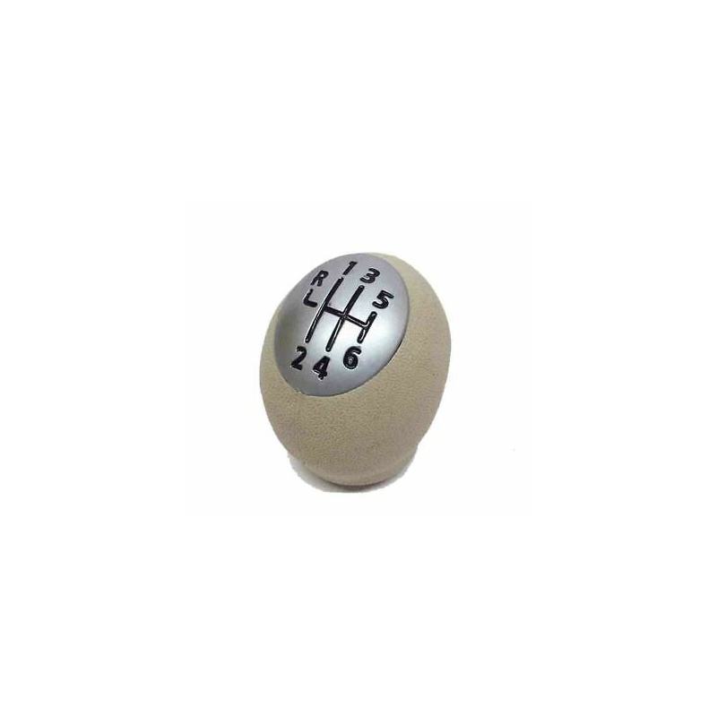 POMELLO CAMBIO RENAULT MEGANE 0902  1205, RENAULT CLIO 1005  0409 6 MARCE BEIGE