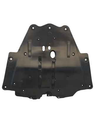 RIPARO MOTORE DACIA SANDERO 0120